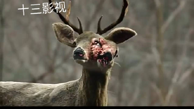 好莱坞电影 核战争导致地球无法居住...
